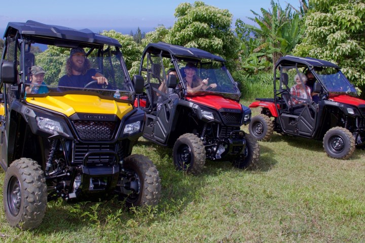 happy family on ATVs