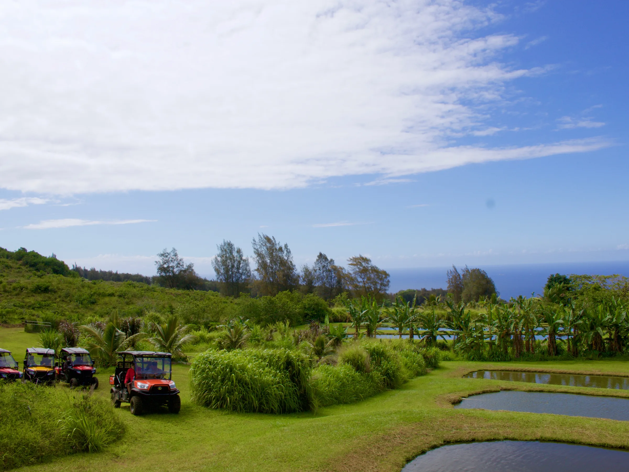 group of ATVs by the ponds