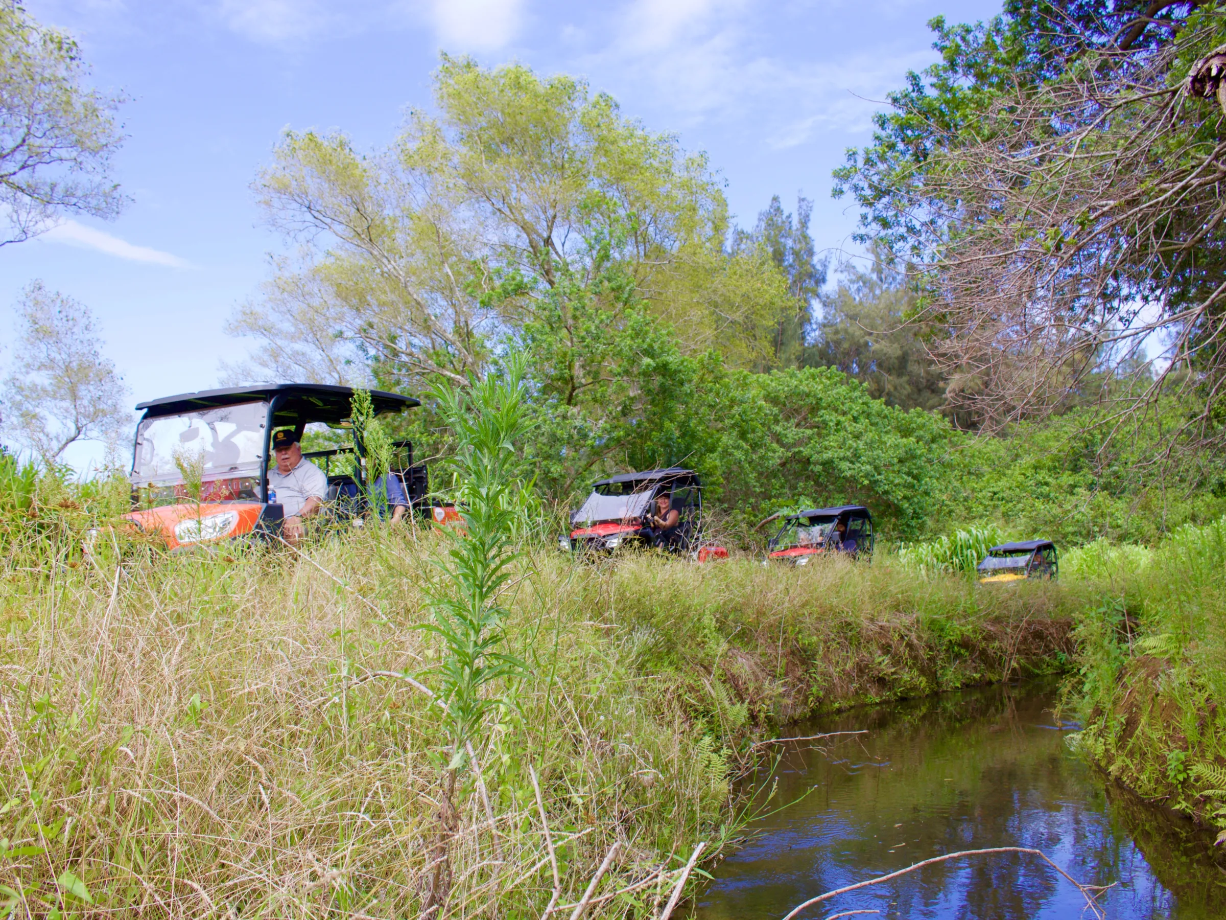 ATVs along the creek